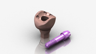 AnatotempSC Healing Abutment 1530-02SC MAIN