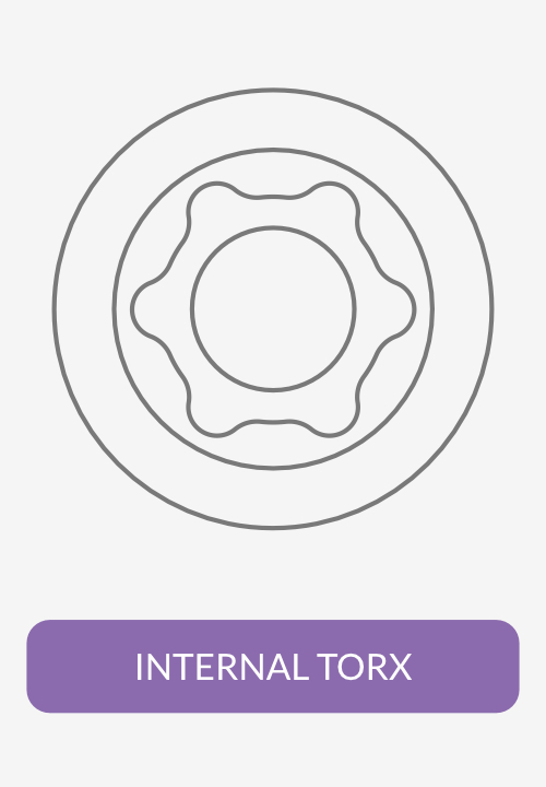 INTERNAL TORX