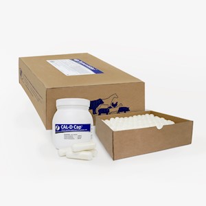 Cal-D™ Cap Calcium Capsules LARGE