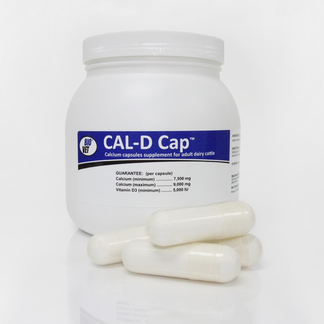 Cal-D™ Cap Calcium Capsules – Bio-Vet Inc. Online Store
