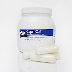 Capri-Cal™ Calcium Capsules 50-count jar LARGE
