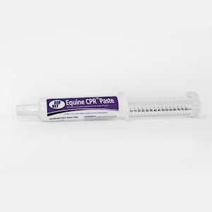 Equine GoldLyte® Paste 40 ml tube LARGE