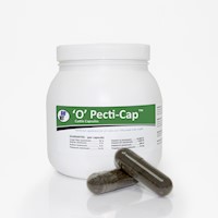 ‘O’ Pecti-Cap™ Cattle Capsules MAIN