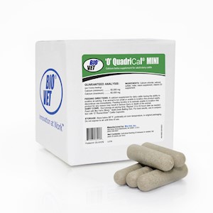 ‘O’ QuadriCal® MINI Calcium Boluses LARGE
