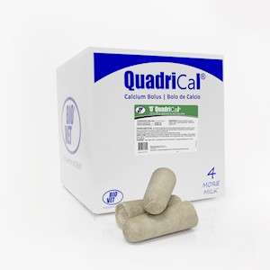 ‘O’ QuadriCal® Calcium Boluses 50-feeding box LARGE
