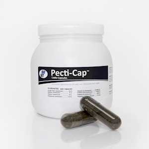 Pecti-Cap™ Cattle Capsules LARGE