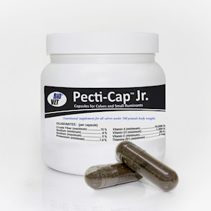 Pecti-Cap™ Jr. Calf Capsules LARGE