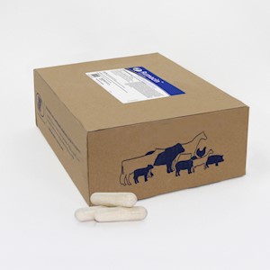 Rumacin™ Cattle Capsules 128-count box LARGE