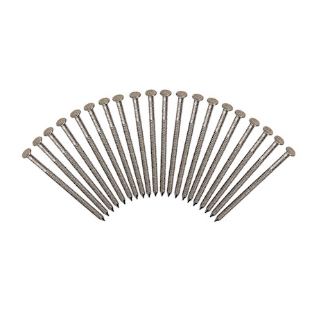 Roofing Nails (20pk) MAIN