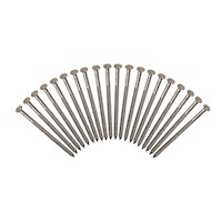 Roofing Nails (20pk) MAIN