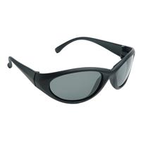 Cobalt Smoke Polarized MAIN