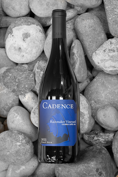 2023 Rainmaker Vineyard Pinot Noir MAIN