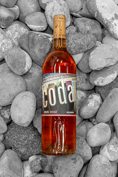 2025 Coda Rosé MAIN