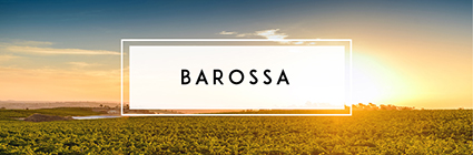 Buy Barossa Wine | Cape Ardor