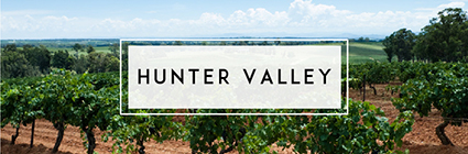 Buy Hunter Valley Wine | Cape Ardor