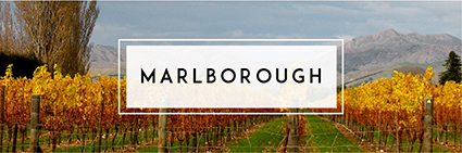 Buy Marlborough Wine | Cape Ardor