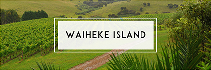 Buy Waiheke Island Wine | Cape Ardor