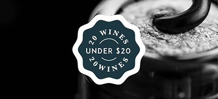 Shop 20 Wines Under $20 | Cape Ardor