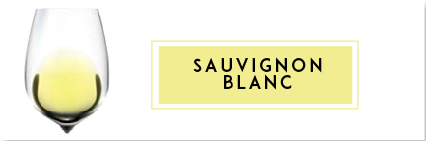 Buy Sauvignon Blanc Wine | Cape Ardor