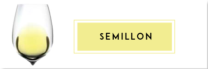 Buy Semillon Wine | Cape Ardor