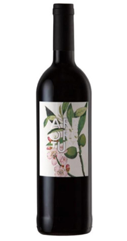 Botanica - "Arboterum" Red Blend, Stellenbosch - 2016 | Cape Ardor MAIN