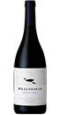 Whalehaven - Cabernet Franc, Coastal Region - 2014 | Cape Ardor THUMBNAIL