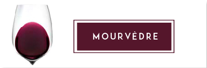 Buy Mourvedre Wine | Cape Ardor