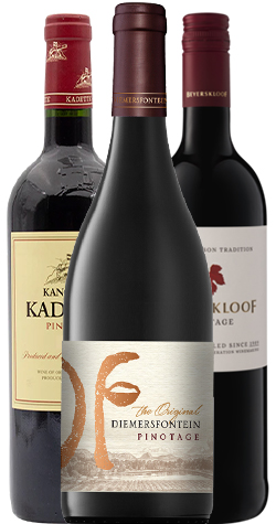 Pinotage Trio (3 Bottles) | Cape Ardor MAIN