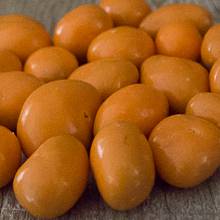 Chocolate Pastel Apricots LARGE