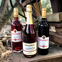 Casa de Fruta Wine Club