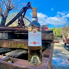 PINOT GRIGIO WINE MONTEREY COUNTY 2020 LARGE