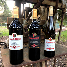 Wine Variety Packs