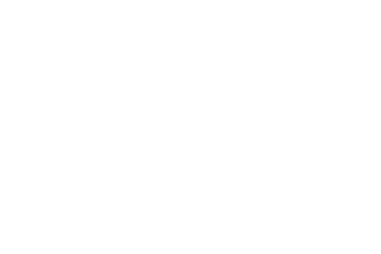 Di Arie Logo