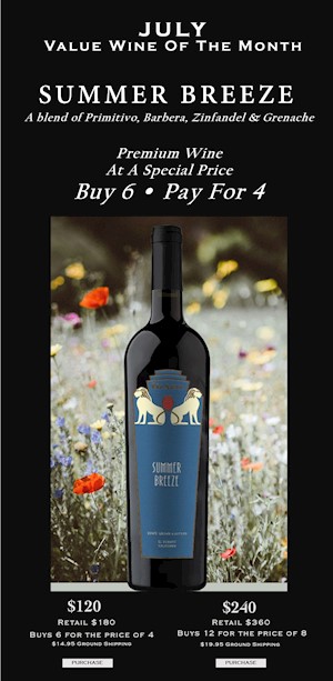 July 2025 Value Wine Of The Month - 12 Bottles Special LARGE
