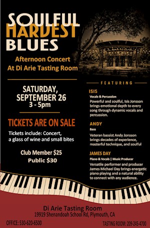 SOULFUL HARVEST BLUES AFTERNOON CONCERT LARGE