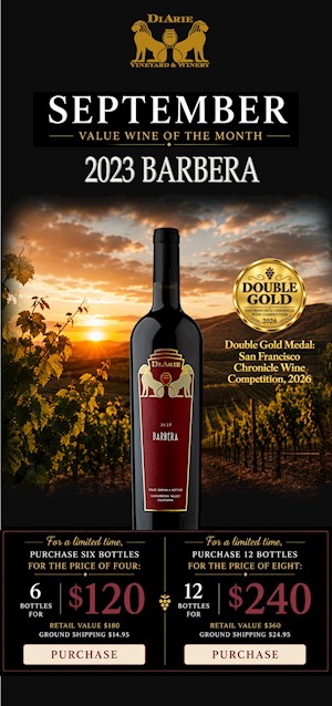 Value Wine Of The Month - 12 Bottles - 2023 Barbera LARGE