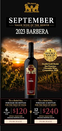 Value Wine Of The Month - 12 Bottles - 2023 Barbera MAIN