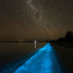 Bioluminescence Kayak Tour on Tomales Bay | Clavey Paddlesports