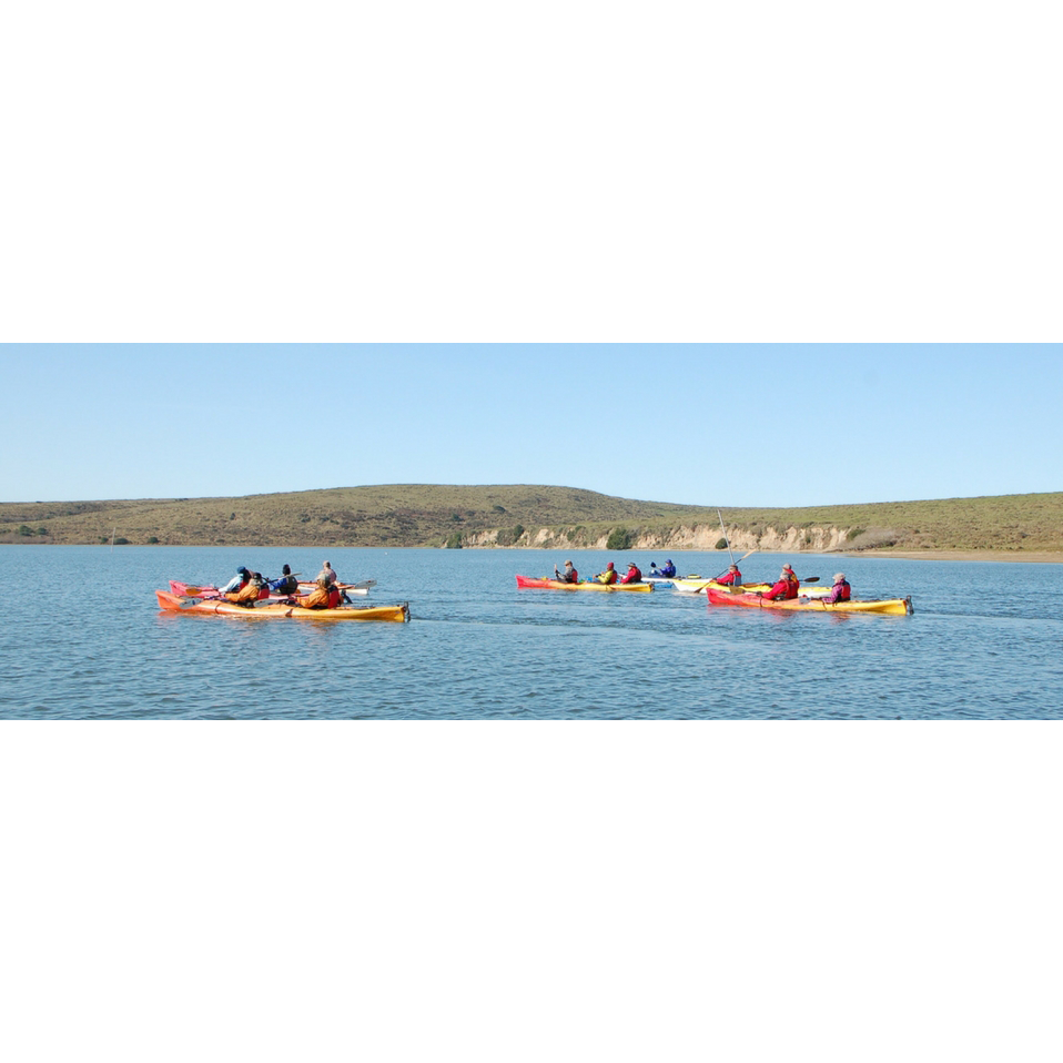 Drakes Estero Kayak Tour Point Reyes Kayak Tour Clavey Paddlesports