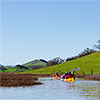 Petaluma Marsh Kayak Tour SWATCH