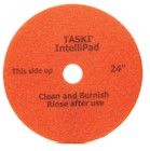 24" ORANGE  FLOOR PAD, CLEAN & BURNISH, INTELLIPAD BY DIVERSEY, 2/CT THUMBNAIL