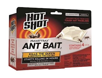 ANT BAIT, HOT SHOT MAX ATTRAX, 4/CT LARGE
