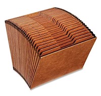 FILE, EXPANDING, HEAVY DUTY, 1-31 INDEX, LETTER SIZE, 31 POCKET, BROWN MAIN