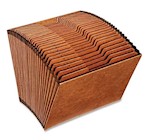 FILE, EXPANDING, HEAVY DUTY, 1-31 INDEX, LETTER SIZE, 31 POCKET, BROWN THUMBNAIL