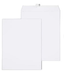 ENVELOPES, CATALOG, GUMMED, STAPLESENVELOPES, CATALOG, GUMMED, STAPLES, , 10"L X 13"H, WHITE, 100/CT LARGE