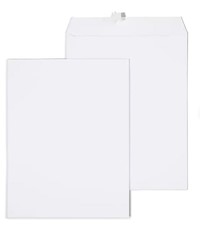 ENVELOPES, CATALOG, GUMMED, STAPLESENVELOPES, CATALOG, GUMMED, STAPLES, , 10"L X 13"H, WHITE, 100/CT MAIN