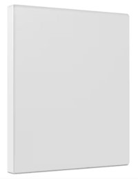 BINDERS, 3 RING, VIEW, STAPLES, 1/2", WHITE, 12/CT MAIN