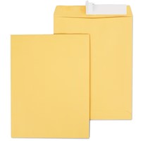 ENVELOPES, CATALOG, STAPLES EASYCLOSE, KRAFT, 10"L X 13"H, BROWN, 100/CT MAIN