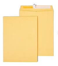 ENVELOPES, CATALOG, STAPLES EASYCLOSE, KRAFT, 9"L X 12"H, BROWN, 100/CT MAIN