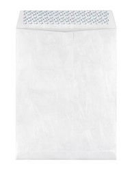 ENVELOPES, EASYCLOSE, CATALOG, 10"L X 12"H, WHITE, 100/CT LARGE